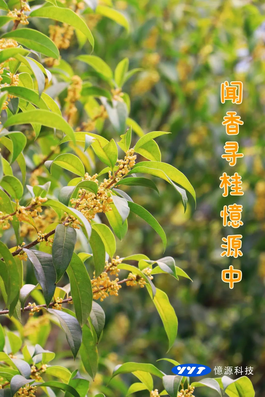 1666402392675320.jpg 1.jpg